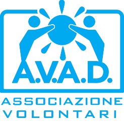 Avad Avad Arezzo